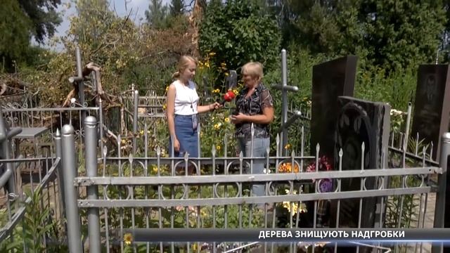 Дерева знищують надгробки смотреть онлайн