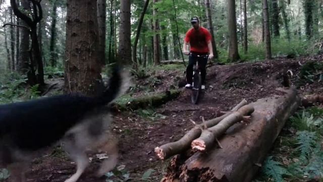 Mtb northern ireland - gosford forest park смотреть онлайн