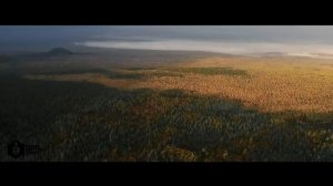 СТИХ АМЕРИКАНЦА О РУССКИХ (2020)