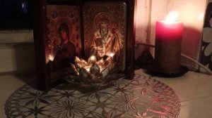 Почистить дом🏡 и живущих в нём 🕊️‼️