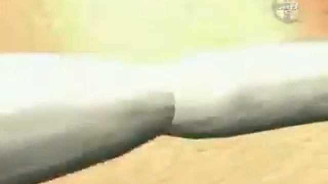 Tapeworm Lifecycle Movie.avi смотреть онлайн