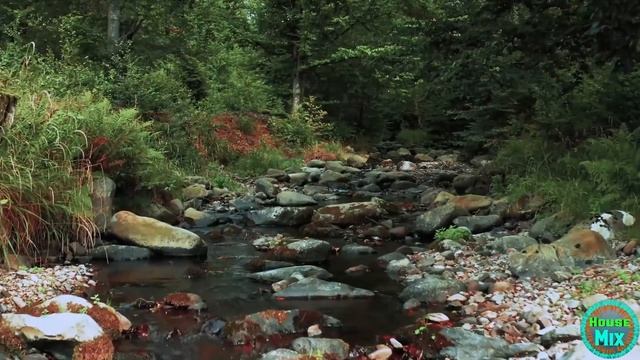 Top Deep House 2021❤️Top Deep House Songs 2021❤️ Top Summer Hits 2021❤️Top Summer House ❤️ #2