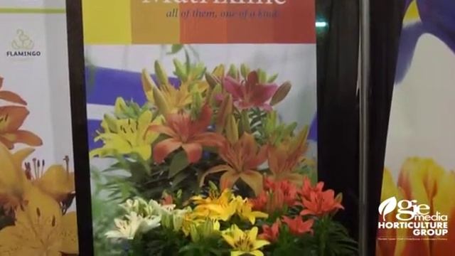 OFA 2013 - Video 2
