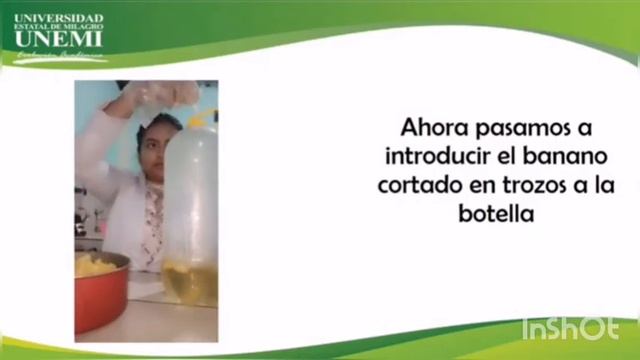 Elaboración de vinos de carambola y banano 🍷🍷🙂 смотреть онлайн