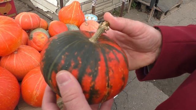 Управление Роспотребнадзора по Тамбовской области подготовило видео-рекомендации о пользе тыквы смотреть онлайн