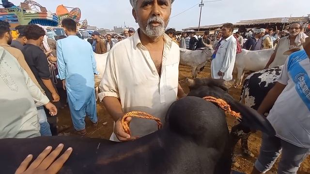 Malir Mandi New Rates Update 28-05-2024 | 175 Hazar Mai Jori Ka Soda | Bargaining + Soda