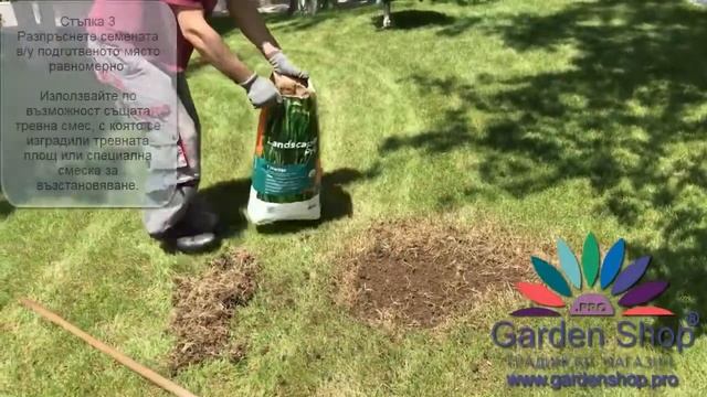 Как се прави подсяване (пресяване) на райграс за възстановяване и поправка на тревни площи смотреть онлайн