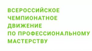 Открытие регионального чемпионата "Профессионалы 2025" в Курской области