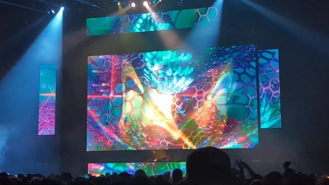 Carbon Based Lifeforms at Snowta 2022 смотреть онлайн