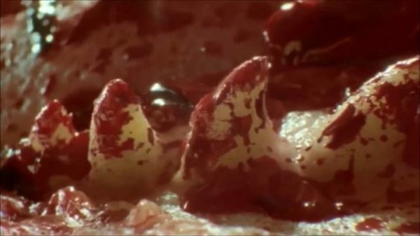 Walking with Monsters - Dimetrodon