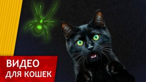 Видео для кошек - Радиоактивный Паук (Развлеки своего кота) 60FPS