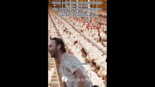 У нас работают только высококвалифицированные специалисты, которые знают толк в своем деле!