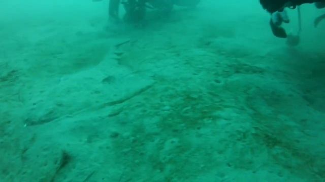 Criss Angelshark смотреть онлайн