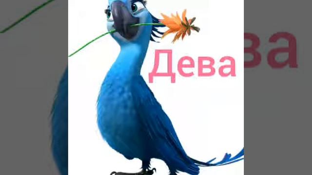Гороскоп рио смотреть онлайн