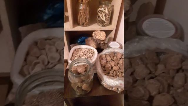 Гайморитке дары 0708049346