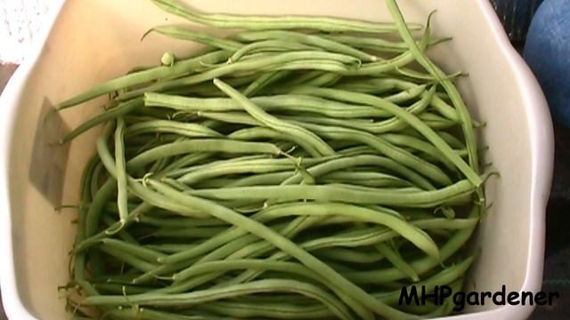 Tomato Harvest & Information Request смотреть онлайн