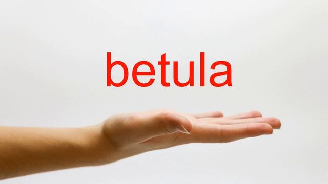 How To Pronounce Betula - American English
