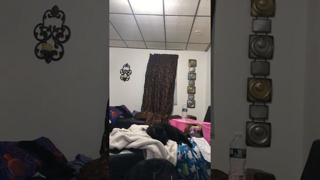 Secret cam смотреть онлайн