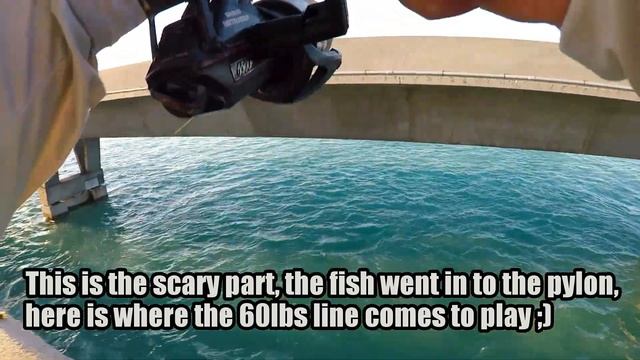 MONSTER CRAB EATER FROM THE BRIDGE, FLORIDA KEYS FISHING, PERMIT FISHING! смотреть онлайн