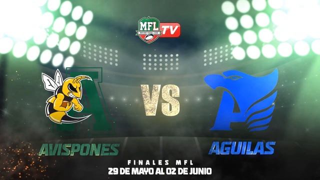 MFL TV Presenta: Finales 2024 Juvenil / Junior Bantam 4 смотреть онлайн