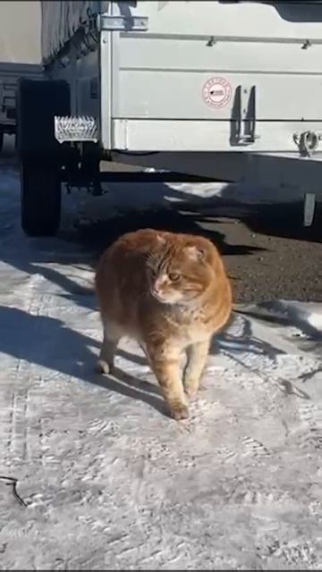 Давным-давно в далёкой-далёкой галактике... смотреть онлайн