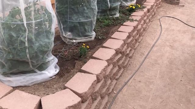 WWIII Victory Garden: High Desert Edible Landscape and Productive Garden Design смотреть онлайн