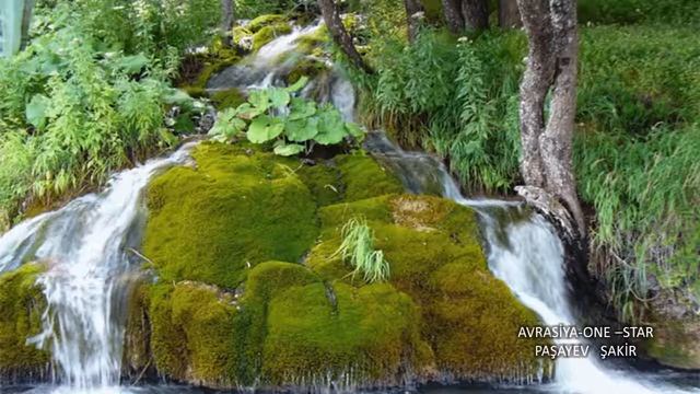 "A Y G Ü N" смотреть онлайн