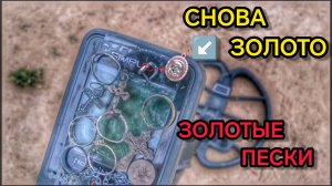Пляжный поиск золота. Коп с металлоискателем. Нокта симплекс.