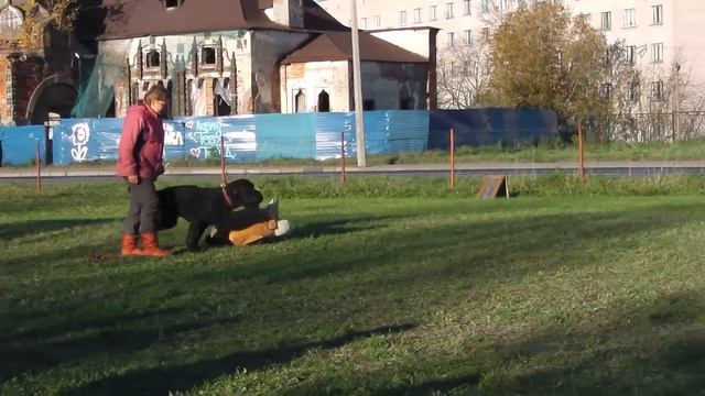 IMGA0184 задержание Лукашева Е. и Прохор смотреть онлайн