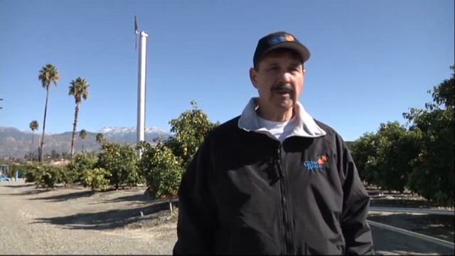 Calif. Cold Snap Hurting Citrus Growers смотреть онлайн