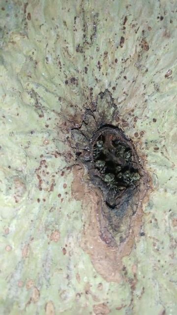 14 декабря 2018 г.