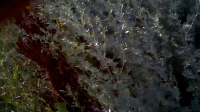 Хрен знает где смотреть онлайн