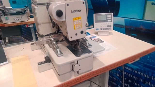 Siruva JUKI BROTHERS TOMATO JACK  PEGASUS KANSAI SPECIAL TYPICAL AUR BHI TO DUKE HIKARI BRUCE SHAGU