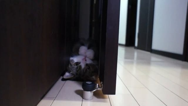 Gap Maru.- смотреть онлайн