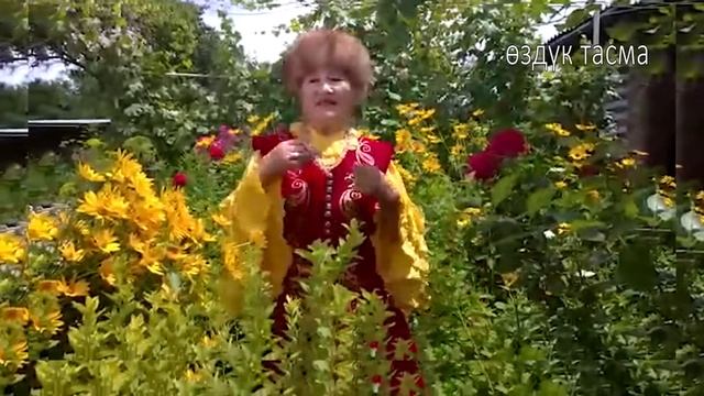 Катылган талан 5 корсоту