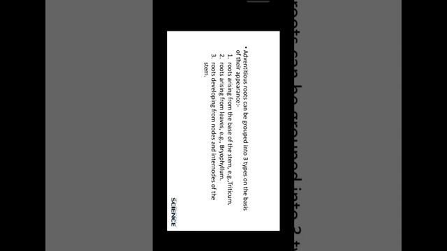 The Root | Types Of Roots | Regions Of Roots | Class-11 | Biology #youtubeshorts #shortvideo #short смотреть онлайн