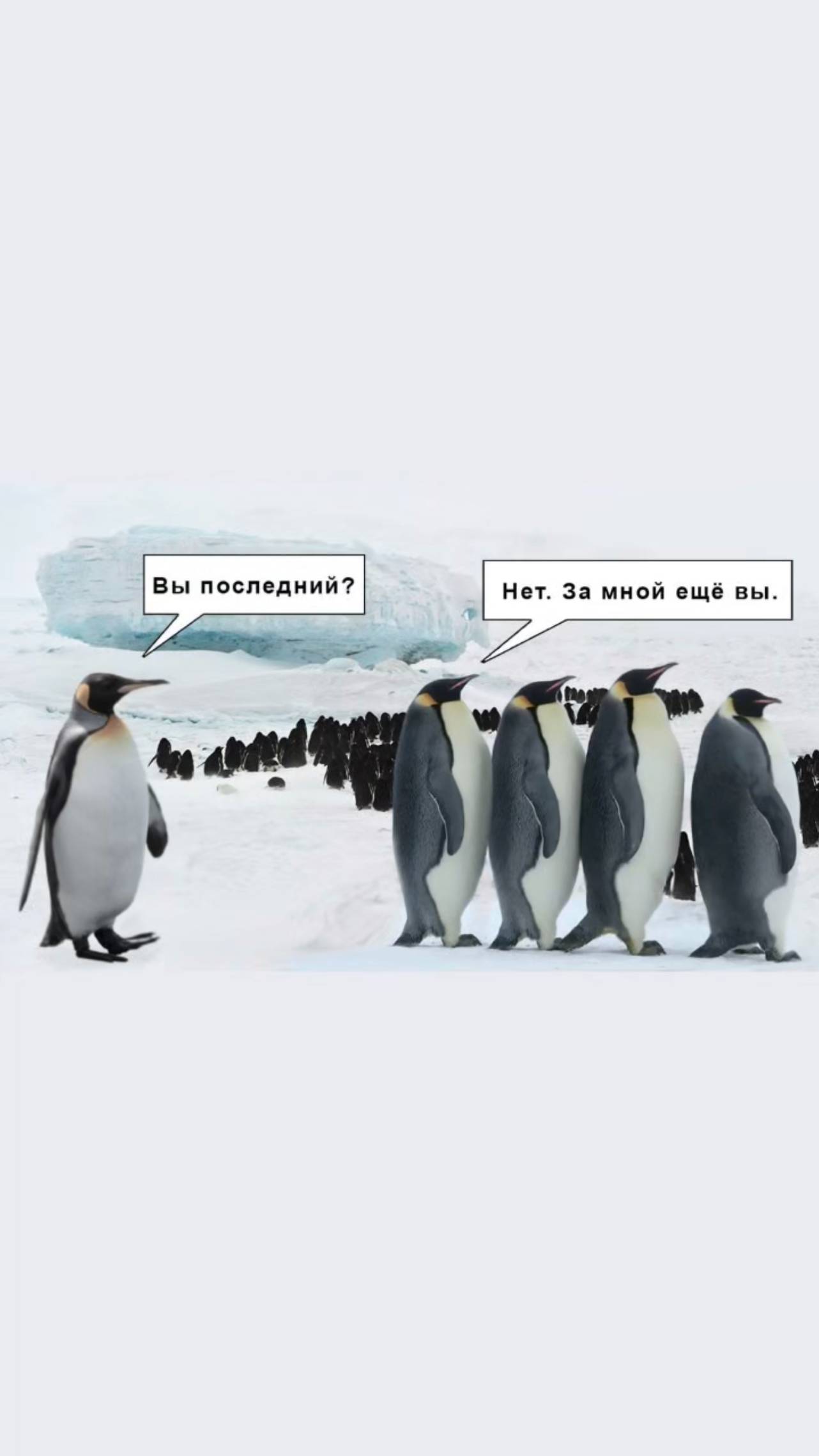 А в какой очереди стояли Вы? Рассказывайте 🤓 смотреть онлайн