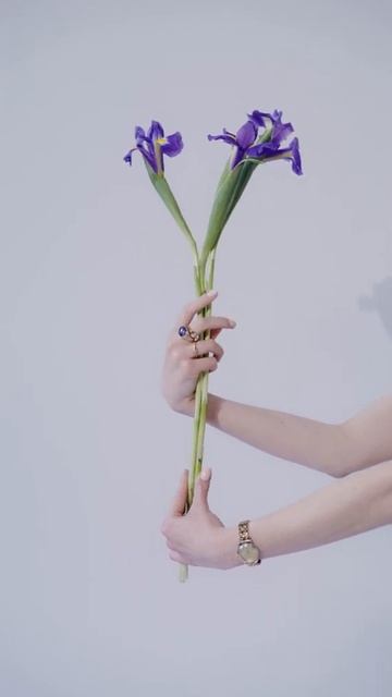 Как называются эти цветы? / Эстетика 🦄 #shorts смотреть онлайн