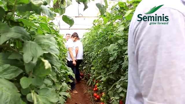 28 05 2015 FETHİYE 4224