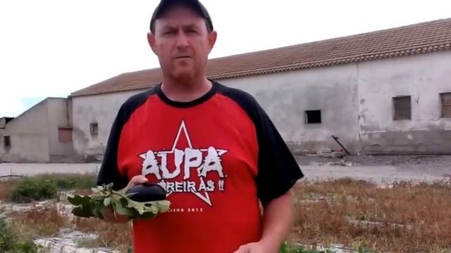 Aupa Lumbreiras!!! - Video Saludo смотреть онлайн