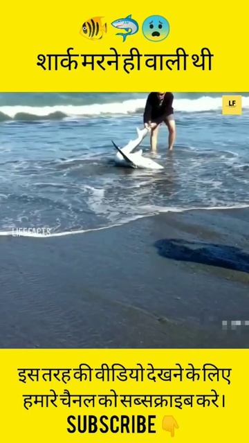 शार्क🦈मरने ही वाली थी😭 #shorts #humanity смотреть онлайн