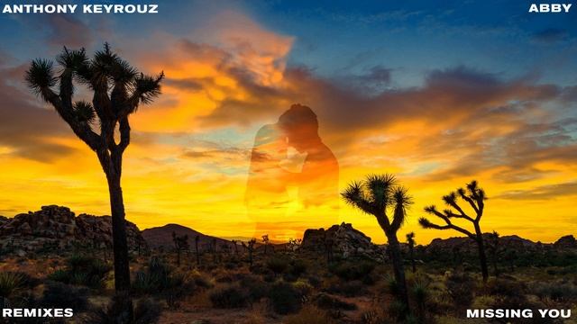 Anthony Keyrouz , Nicolas - Missing You (Feat. Abby) (Ilan Videns Remix)