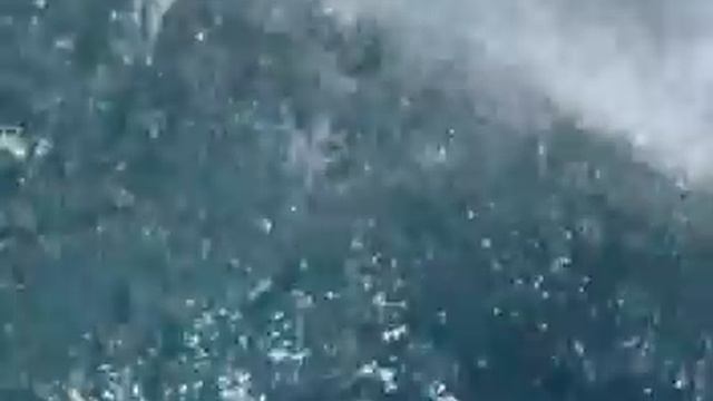 Phi Phi Island - Monkey Bay, Krabi .. Thailand.mpg