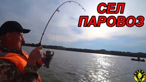 ТАКУЮ РЫБУ НЕ ТЯНУЛ! РЫБАЛКА НА САЗАНА В КАМНЕ-НА-ОБИ.