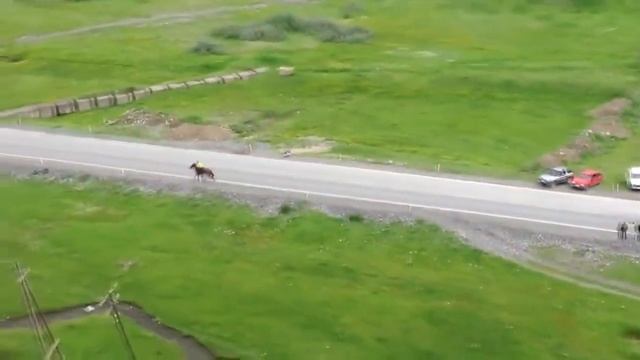 დოღი ყაზბეგში 2016წ - Horse Racing in kazbegi смотреть онлайн