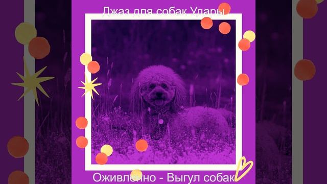 Видения (Одинокие собаки) смотреть онлайн