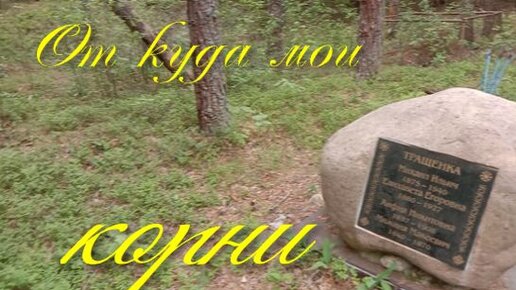 От куда мои корни ...