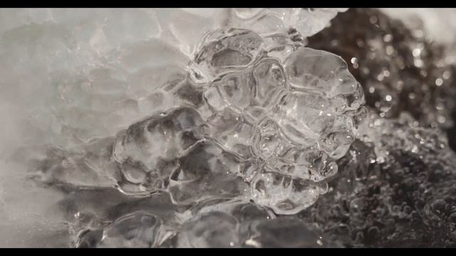 Скворцов Илья: Морж смотреть онлайн