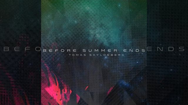 Tomas  Skyldeberg Webm