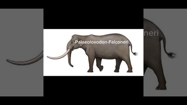 30 Animais Extintos que Há na Expansão de Conteúdo do Zoo Tycoon 2 Extinct Animals.👍❤️🥰🤩 смотреть онлайн